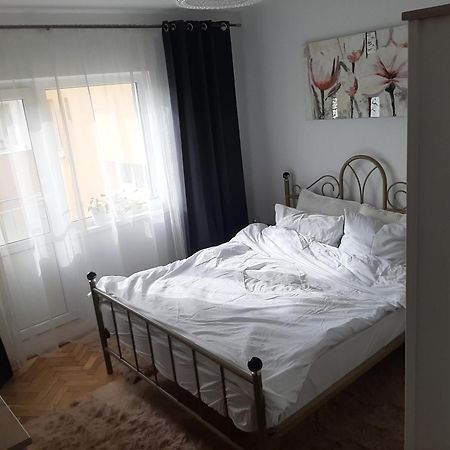 Mari&Vio Apartment Cluj Napoca Bagian luar foto
