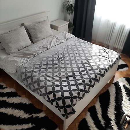 Mari&Vio Apartment Cluj Napoca Bagian luar foto