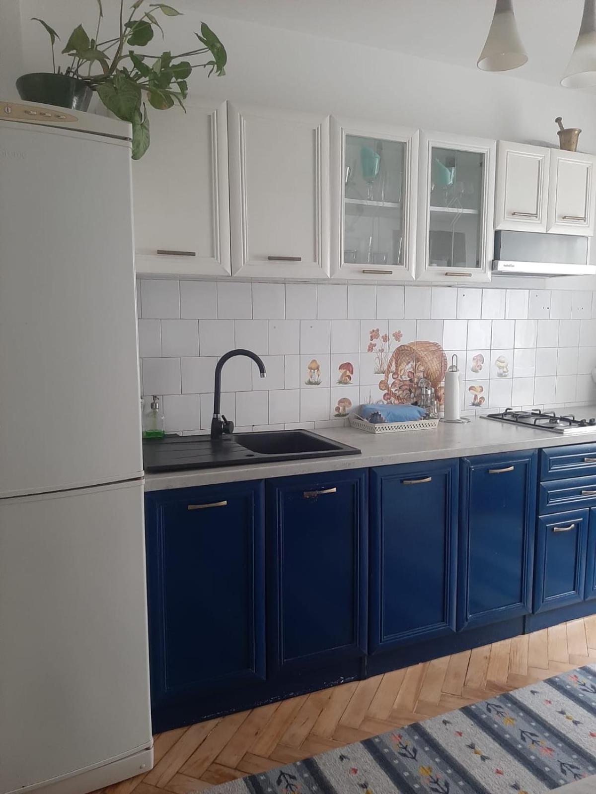 Mari&Vio Apartment Cluj Napoca Bagian luar foto