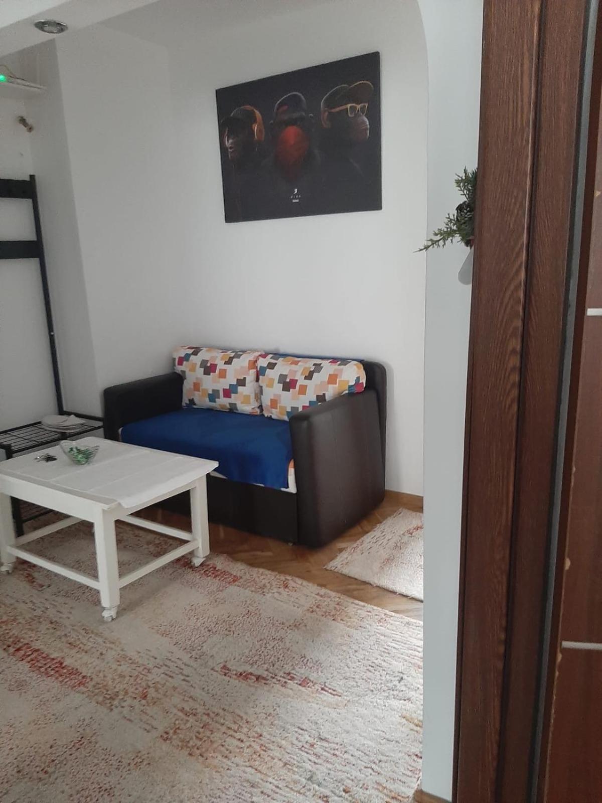 Mari&Vio Apartment Cluj Napoca Bagian luar foto