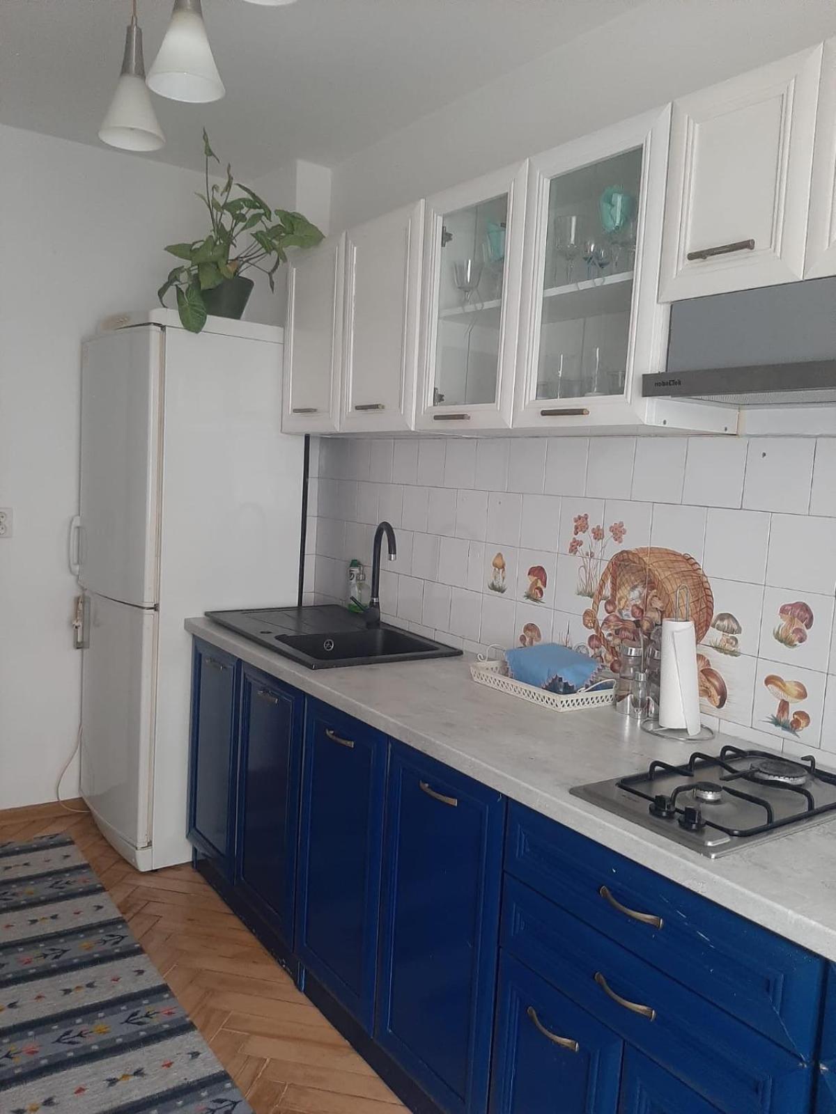 Mari&Vio Apartment Cluj Napoca Bagian luar foto